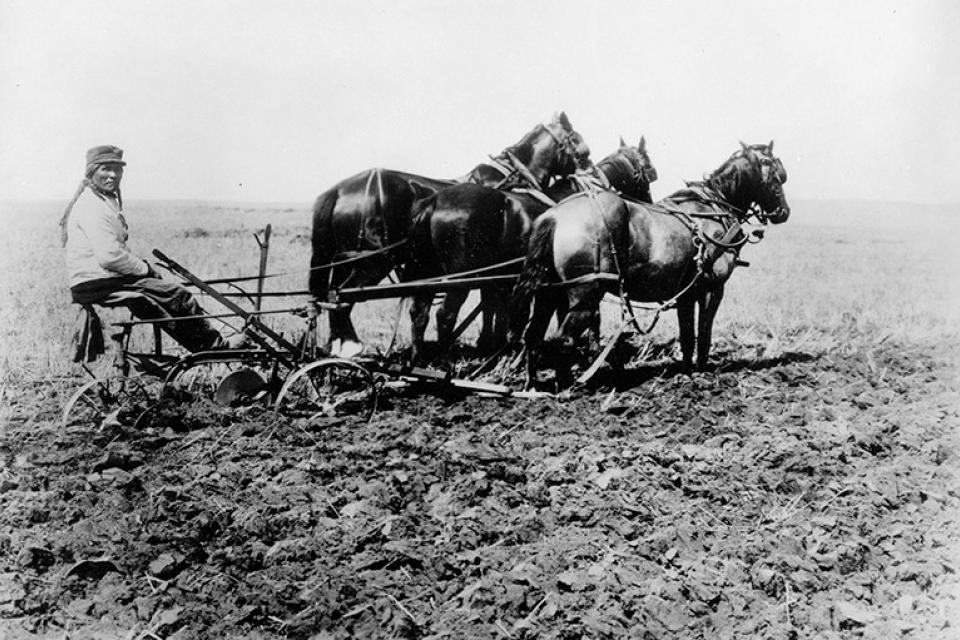 Indigenous Agriculture